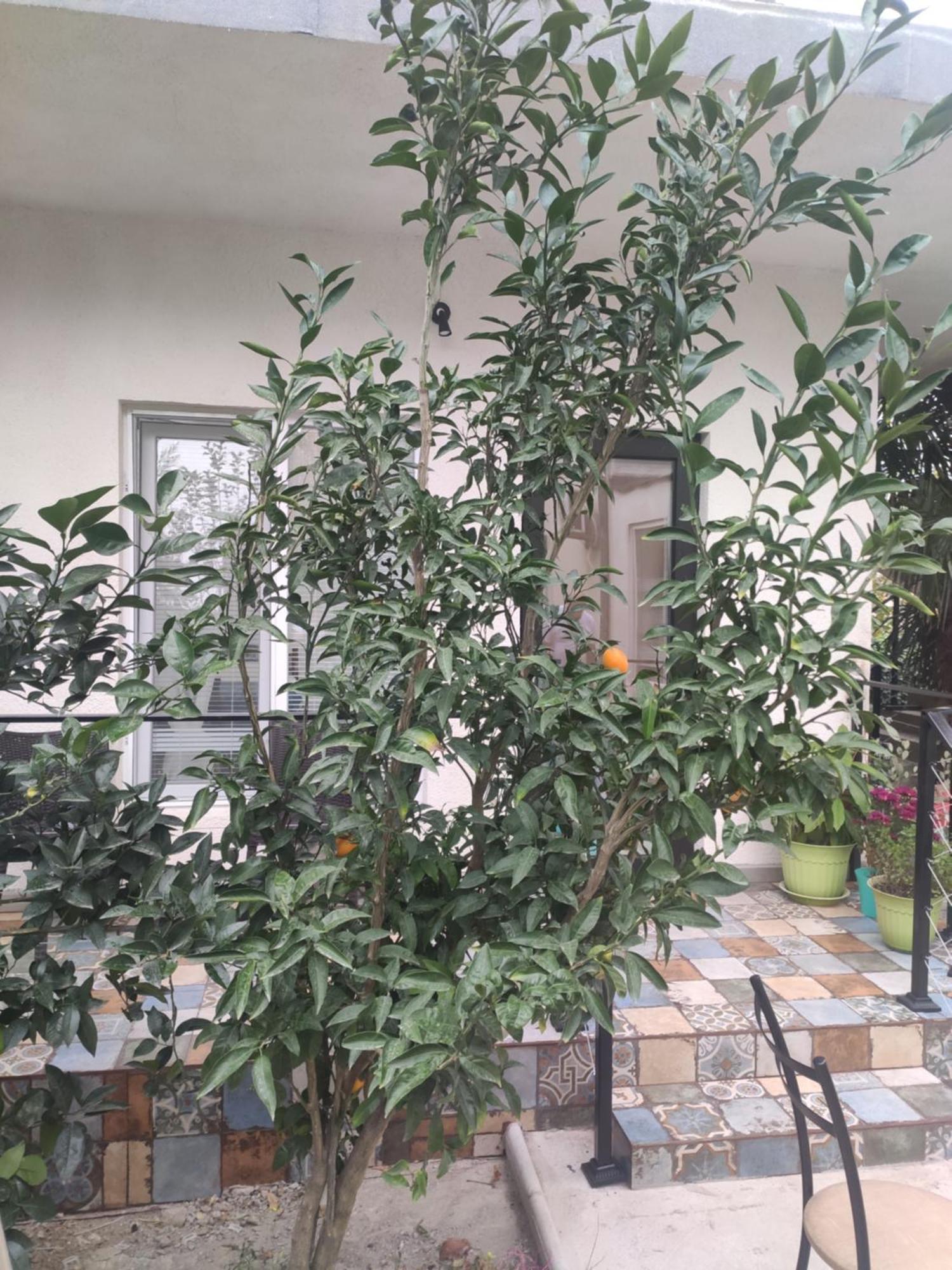 Family Нotel Banuri Kutaisi Exteriér fotografie